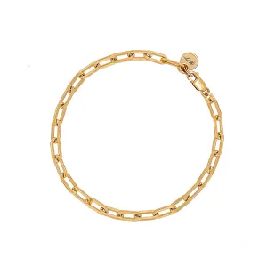 Lia Paperclip Chain Bracelet Gold Filled